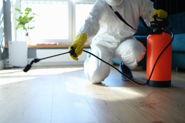 Reliable Sewage Cleanup contractor in Sun Valley, ID by Trauma Clean Pros